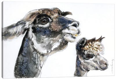 The Llamas II Canvas Art Print - Llama & Alpaca Art