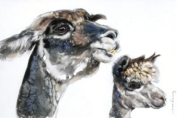 Soo Beng Lim: The Llamas II by Soo Beng Lim