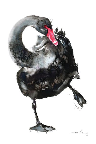 Swan Ballet II by Soo Beng Lim metal wall art