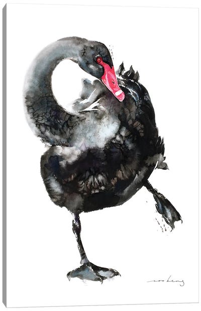 Swan Ballet II Canvas Art Print - Soo Beng Lim