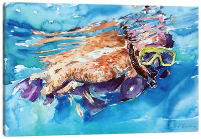 Snorkel Life Canvas Art Print - Soo Beng Lim