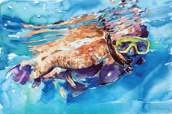 Soo Beng Lim: Snorkel Life by Soo Beng Lim