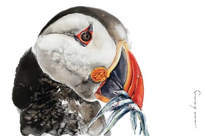 Puffin Feed by Soo Beng Lim framed canvas print