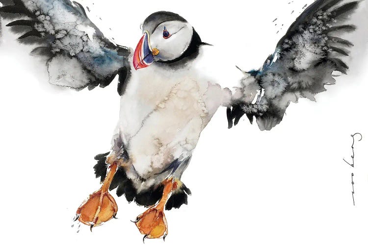 Puffin Display by Soo Beng Lim wall art