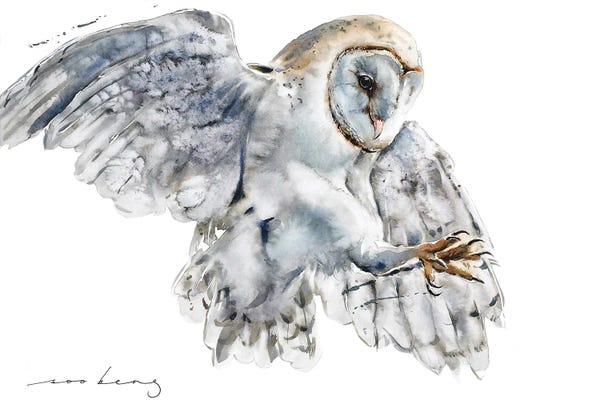 Asian Artists: White Owl by Soo Beng Lim