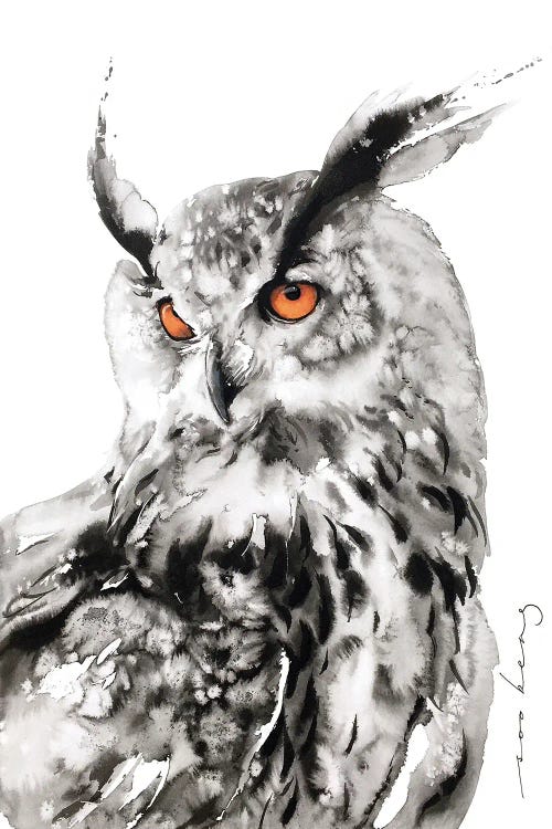 Owl Wise