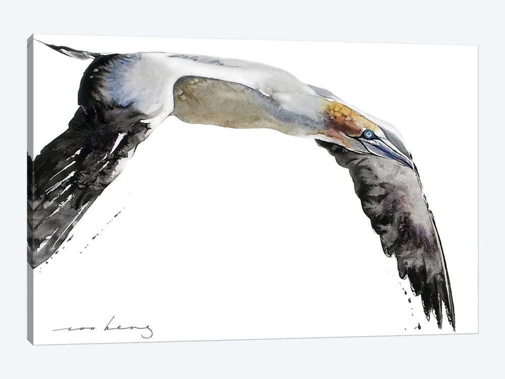 Gannet Of The Skies by Soo Beng Lim 1-piece Canvas Art Print