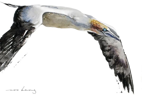 Soo Beng Lim: Gannet Of The Skies by Soo Beng Lim