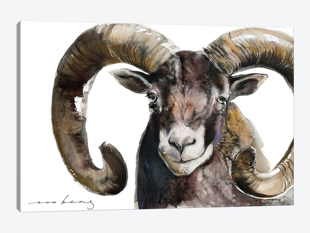 Mouflon Stud by Soo Beng Lim 1-piece Canvas Art Print