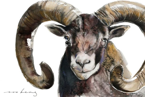 Soo Beng Lim: Mouflon Stud by Soo Beng Lim