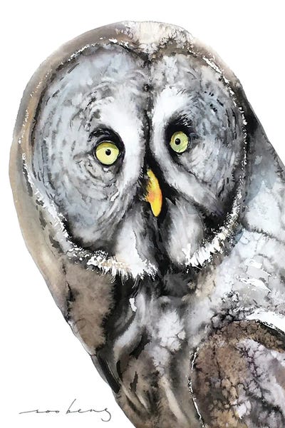 Mystic Owl by Soo Beng Lim canvas print