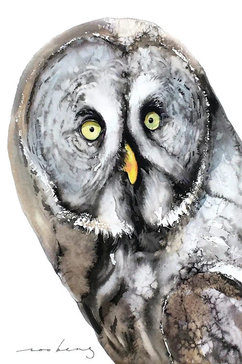 Mystic Owl by Soo Beng Lim wall art