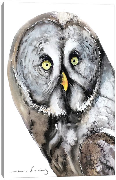 Mystic Owl Canvas Art Print - Soo Beng Lim