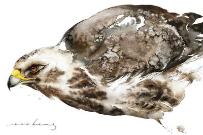 Buzzard Vision by Soo Beng Lim art print