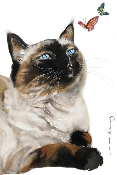 Soo Beng Lim: Cat Transfixe by Soo Beng Lim