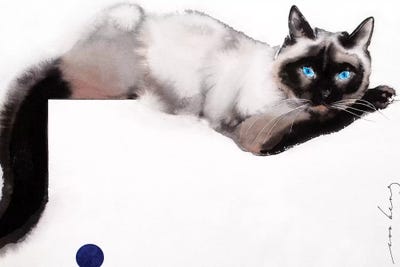 Contentment II by Soo Beng Lim framed canvas print