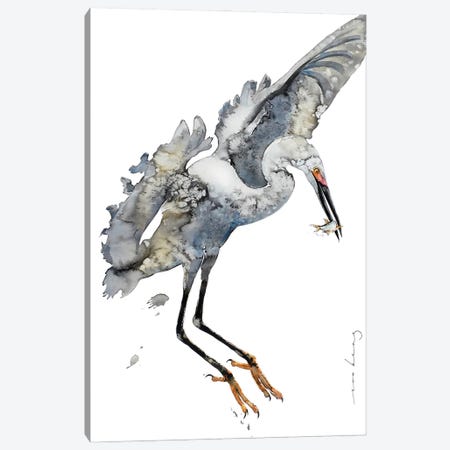Harris Black Crowned Night Heron - Original Watercolor/Ink Painting -  11x14 | RuthieZArt