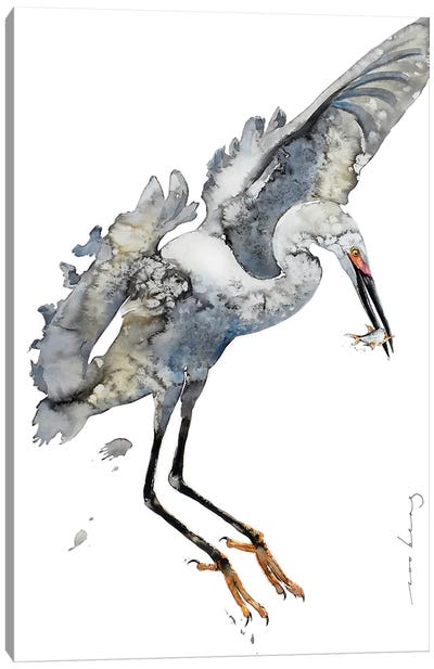 Heron Harmony Canvas Art Print - Soo Beng Lim