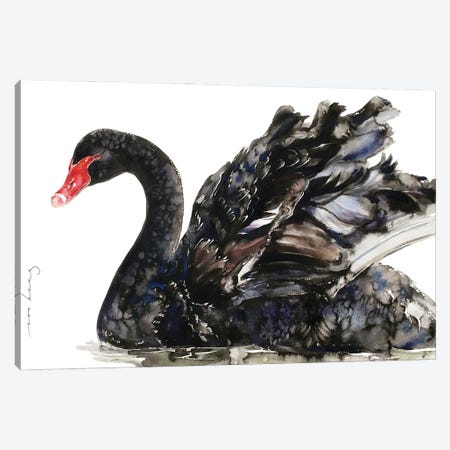 Black Swan Elegance Canvas Print #LIM388} by Soo Beng Lim Canvas Print