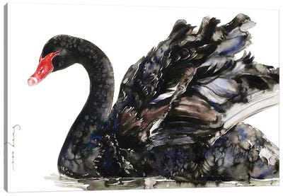 Black Swan Elegance Canvas Art Print - Swan Art