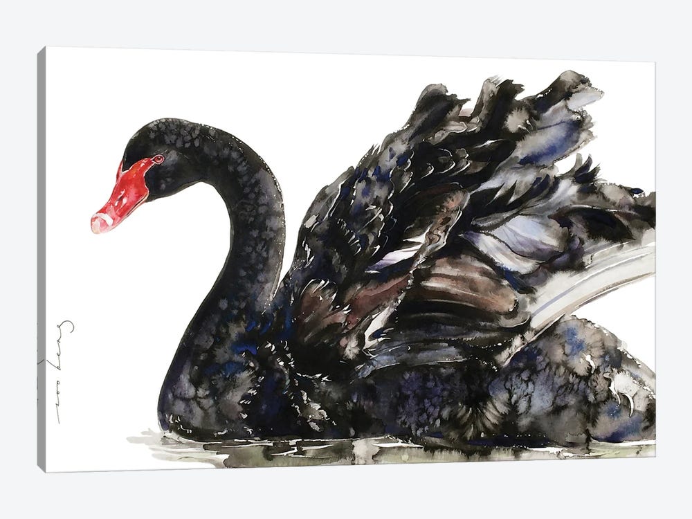 Black Swan Elegance by Soo Beng Lim 1-piece Canvas Wall Art