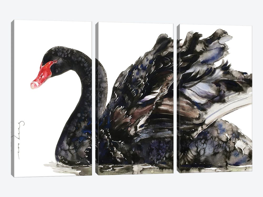 Black Swan Elegance by Soo Beng Lim 3-piece Canvas Wall Art