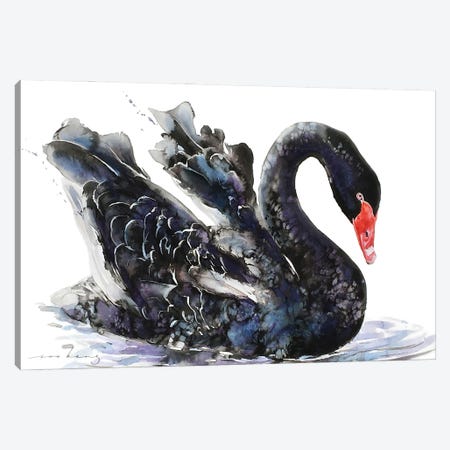 Dark Swan Beauty Canvas Print #LIM390} by Soo Beng Lim Canvas Wall Art