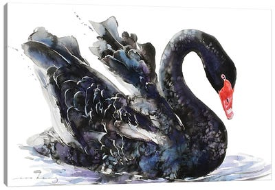 Dark Swan Beauty Canvas Art Print - Swan Art