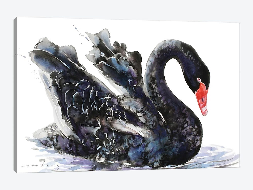 Dark Swan Beauty by Soo Beng Lim 1-piece Canvas Print