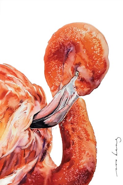 Flamingos: Flamingo Chic by Soo Beng Lim