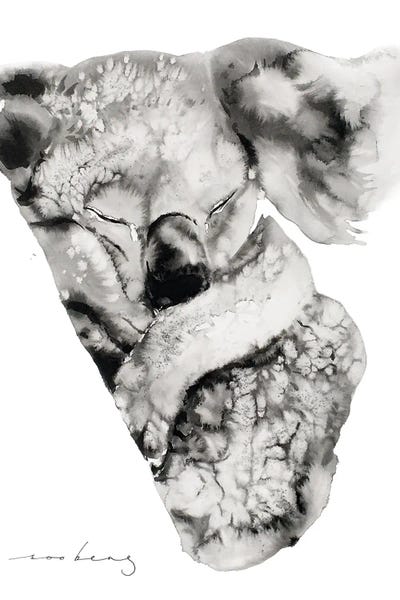 Soo Beng Lim: Koala Winks by Soo Beng Lim