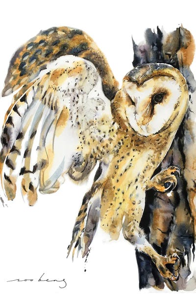 Owl Instinct by Soo Beng Lim canvas print