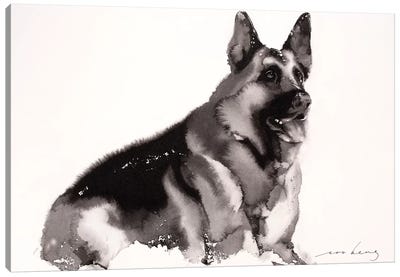 Cool and Calm Canvas Art Print - German Shepherd Art