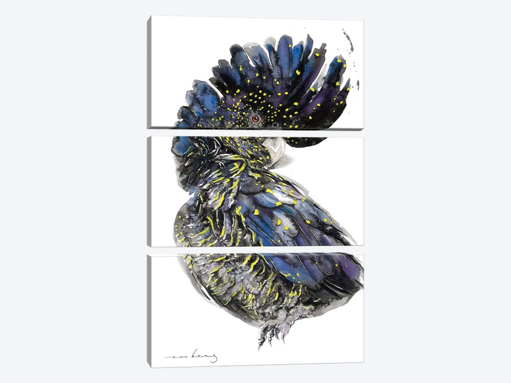Australian Black Cockatoo II by Soo Beng Lim 3-piece Canvas Art