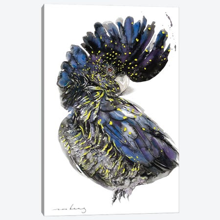 Australian Black Cockatoo II Canvas Print #LIM403} by Soo Beng Lim Canvas Artwork