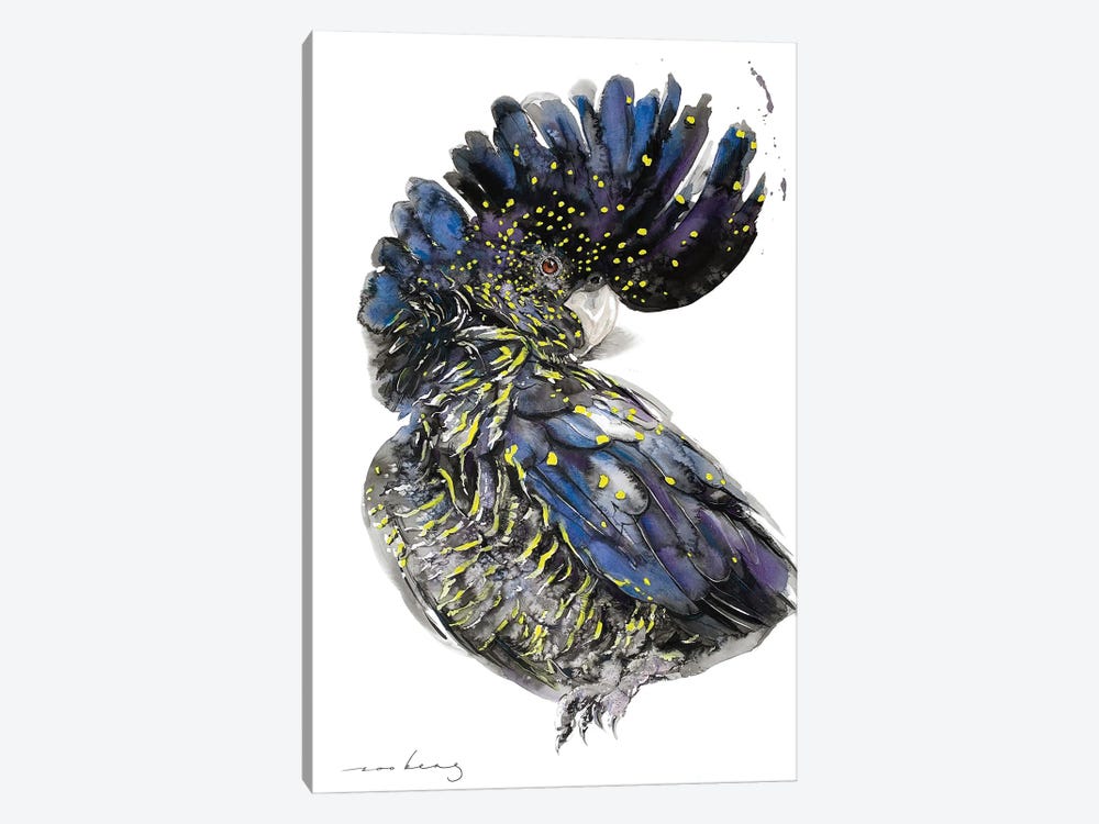 Australian Black Cockatoo II by Soo Beng Lim 1-piece Canvas Art