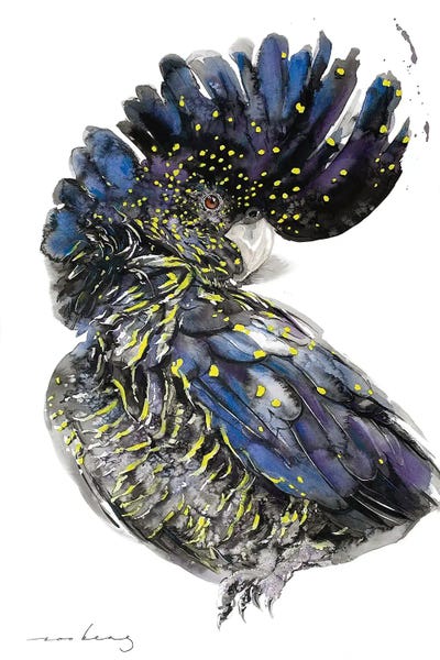 Soo Beng Lim: Australian Black Cockatoo II by Soo Beng Lim