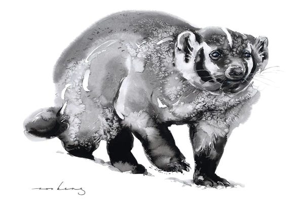 Badgers: Badger Digger by Soo Beng Lim