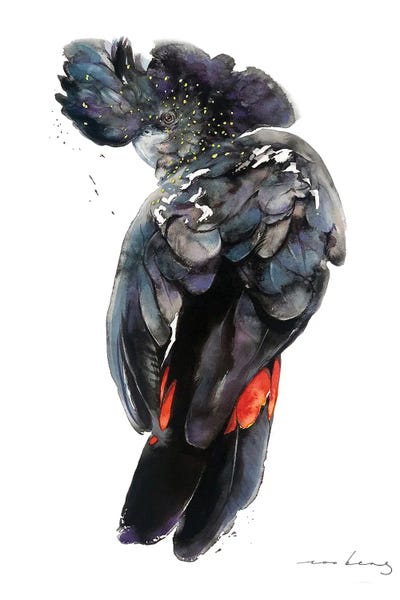 Soo Beng Lim: Bank's Cockatoo by Soo Beng Lim