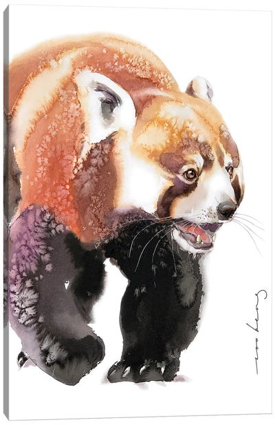 Bear Sense Canvas Art Print - Soo Beng Lim