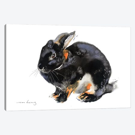 Bunny's Worth Canvas Print #LIM407} by Soo Beng Lim Canvas Print