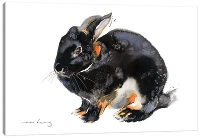 Bunny's Worth Canvas Art Print - Soo Beng Lim