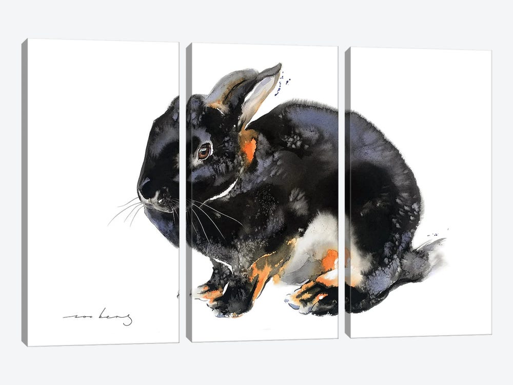 Bunny's Worth by Soo Beng Lim 3-piece Canvas Artwork