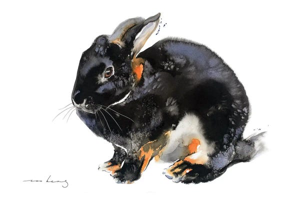 Soo Beng Lim: Bunny's Worth by Soo Beng Lim