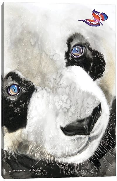 Captivated Panda Canvas Art Print - Soo Beng Lim