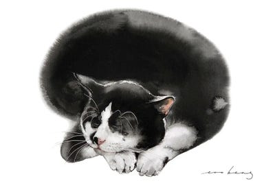 Cat Snooze by Soo Beng Lim framed canvas print