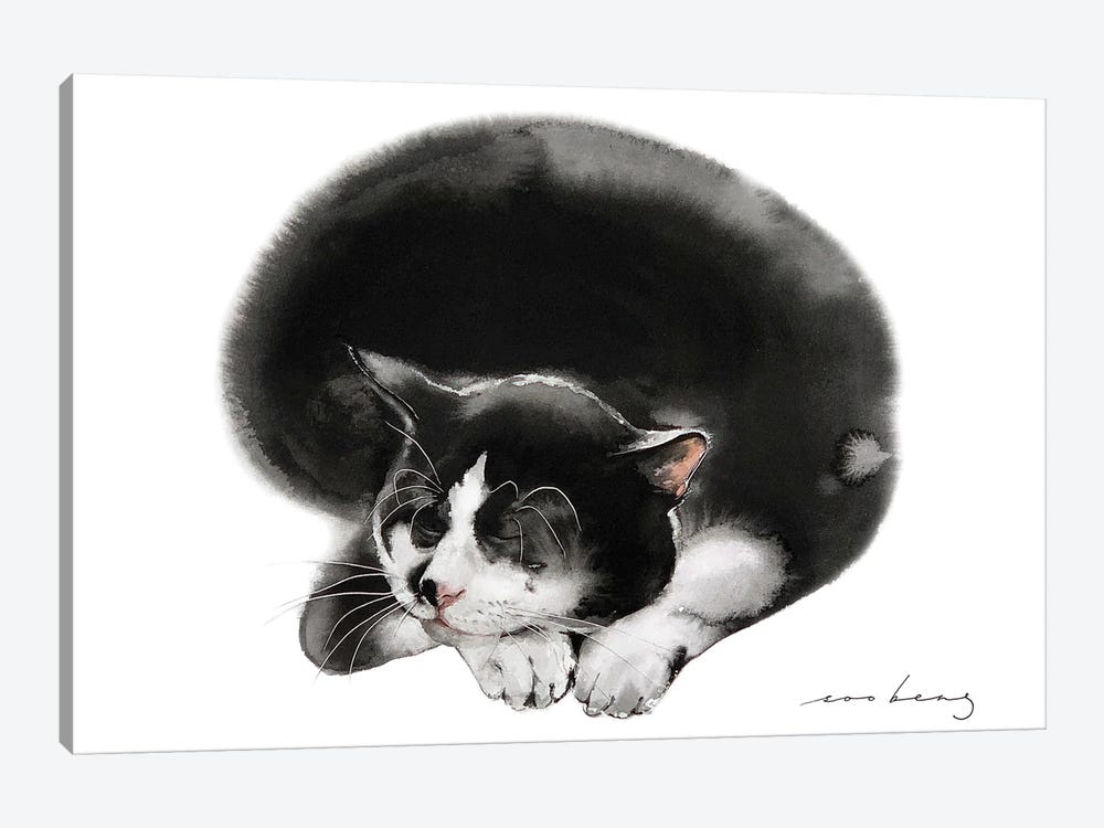 Cat Snooze by Soo Beng Lim 1-piece Canvas Art