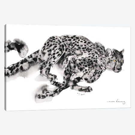 Cheetah Sprint Canvas Print #LIM414} by Soo Beng Lim Canvas Artwork