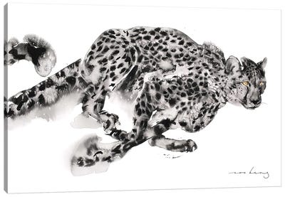 Cheetah Sprint Canvas Art Print - Cheetah Art