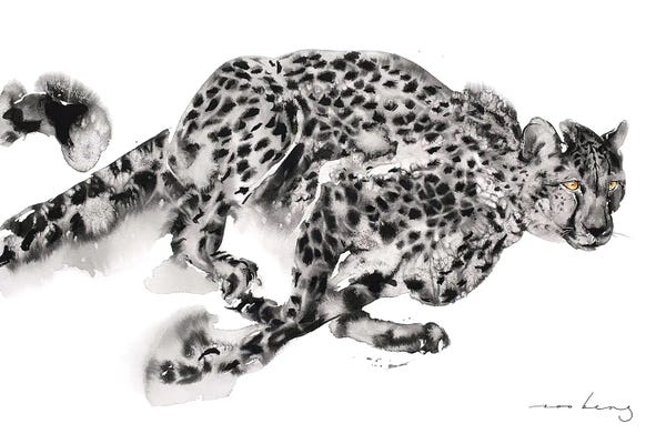 Soo Beng Lim: Cheetah Sprint by Soo Beng Lim